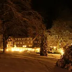 Hotel Wiese 4*
