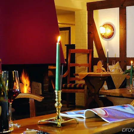 Wiese Hotel 4*