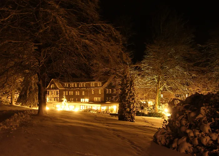 Hotel Jagdhaus Wiese 4*