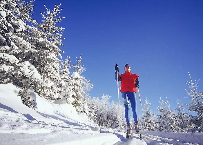 מלון Jagdhaus Wiese שמאלנברג